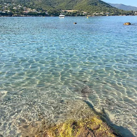 Appartement A 2Mn De La Plage Du Ruppione Pietrosella Exterior foto